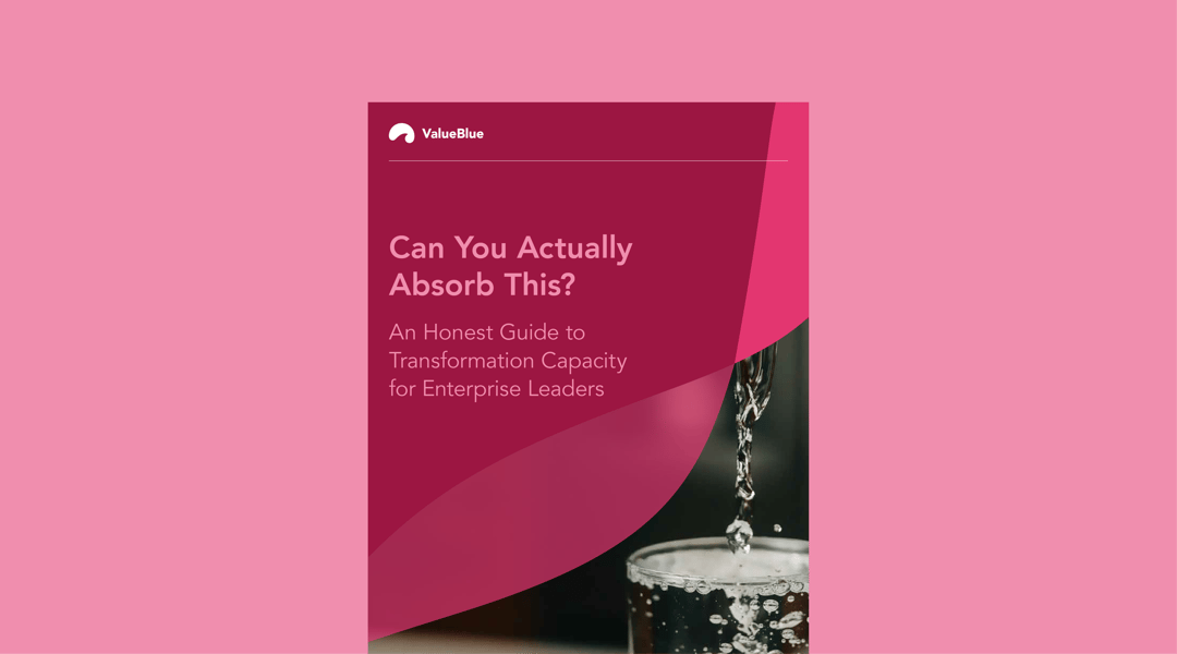 Can you Actually Absorb This? An eBook by ValueBlue