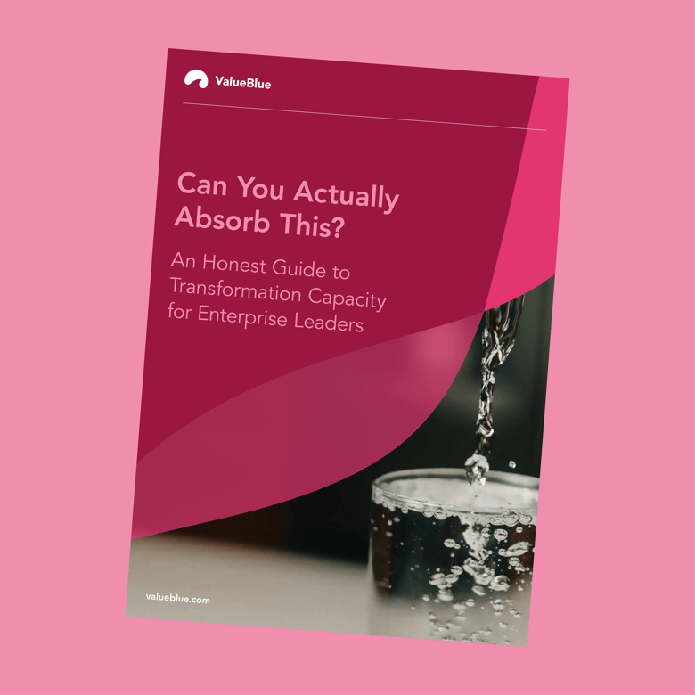 Can You Actually Absorb This: an Ebook by ValueBlue