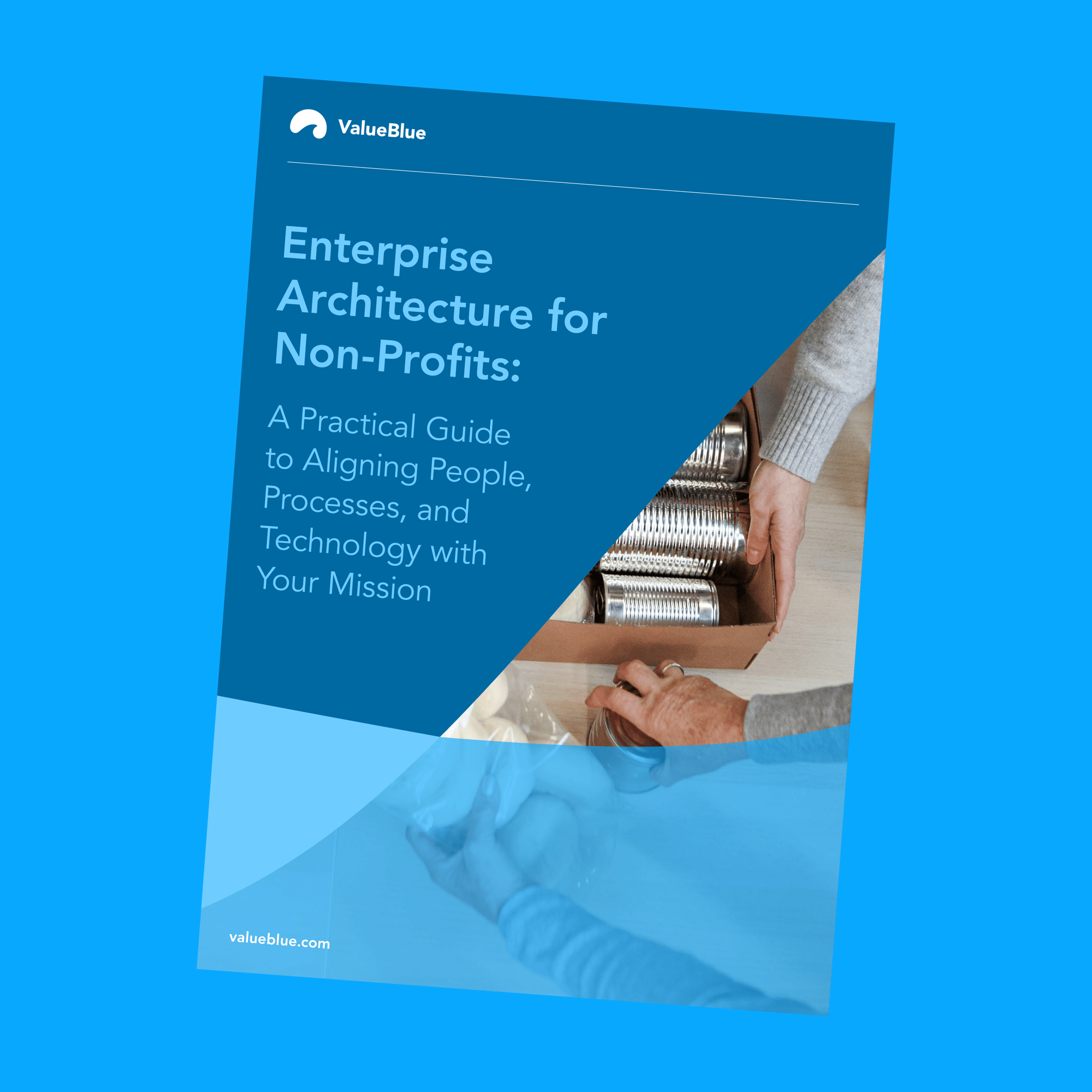 Ebook - Enterprise Architecture for Non-Profits - Landing Page Image Ebook - Enterprise Architecture for Non-Profits - Landing Page Image