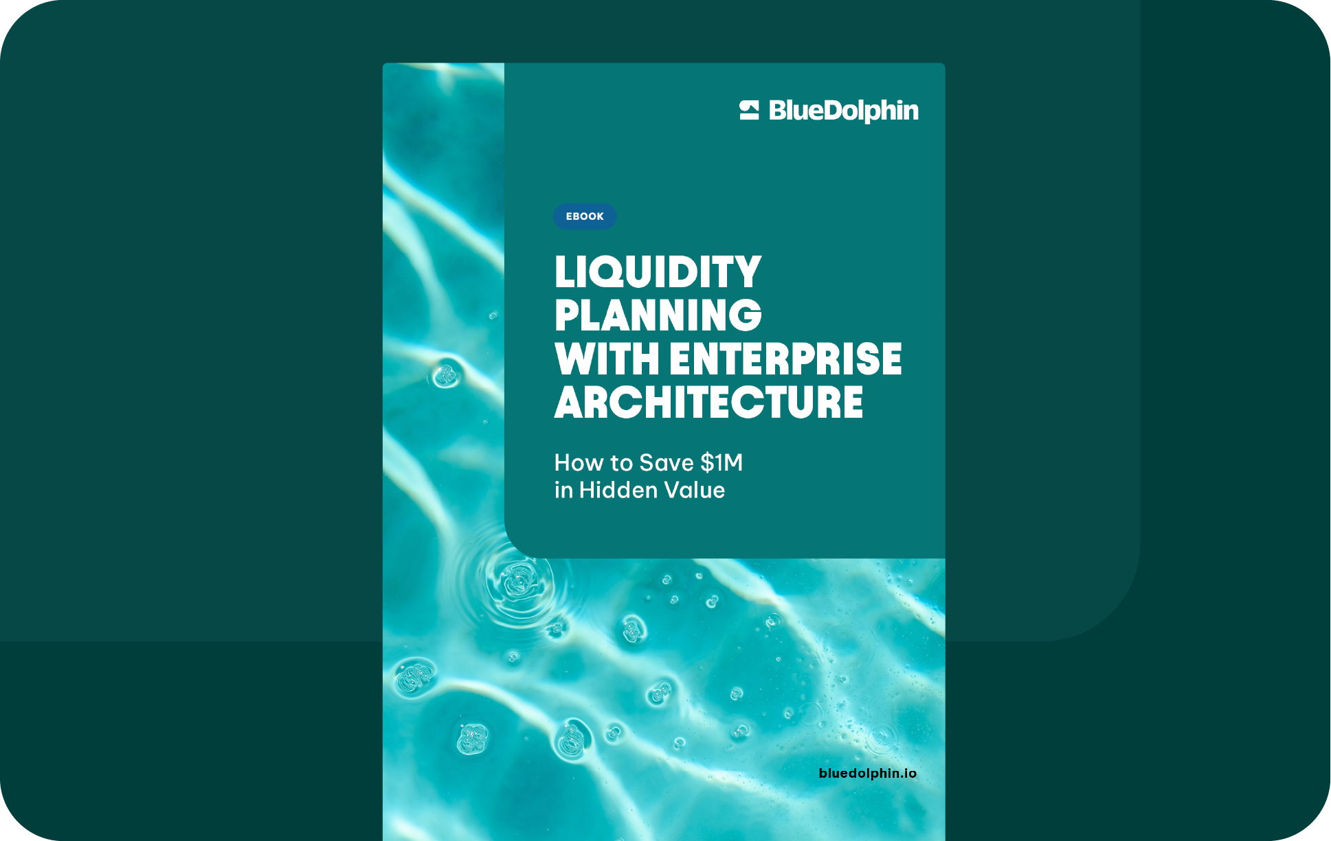 [Ebook] Liquidity Planning with EA - Landing Page Image
