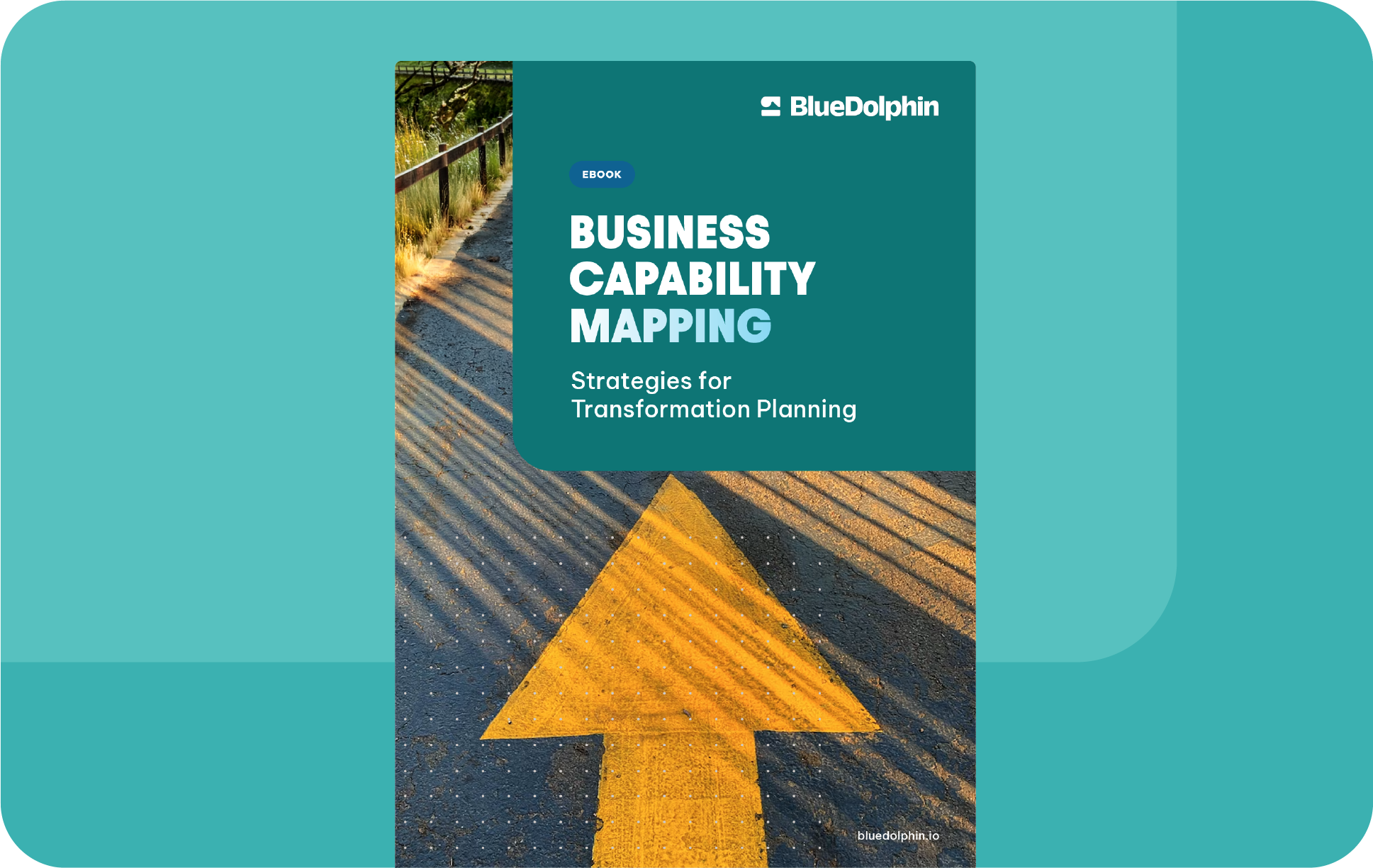 Business capability Mapping_Landing Page Image
